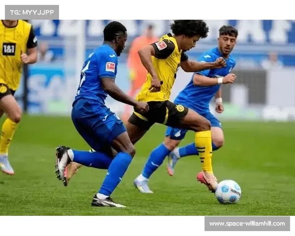 霍芬海姆3-1柏林联合，主场全取三分逃离降级区